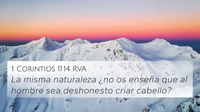 1 Corintios 11:14 RVA Bible Verse Image