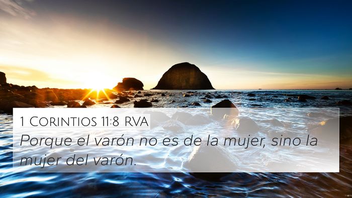 1 Corintios 11:8 RVA Bible Verse Image