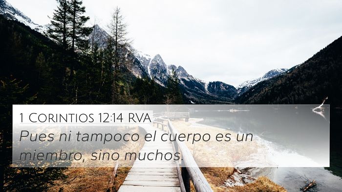 1 Corintios 12:14 RVA Bible Verse Image