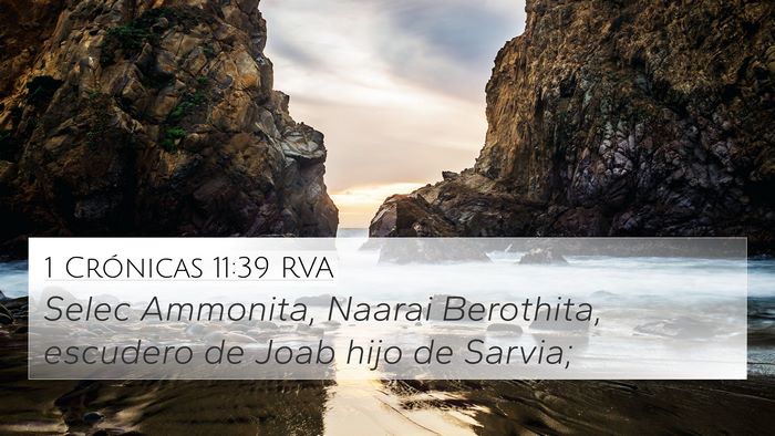 1 Crónicas 11:39 RVA 4K Wallpaper - Selec Ammonita, Naarai Berothita, escudero de - 4K Wallpaper Bible Verse