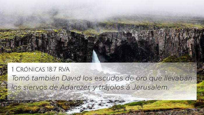 1 Crónicas 18:7 RVA Bible Verse Image