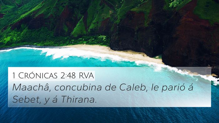 1 Crónicas 2:48 RVA Bible Verse Image