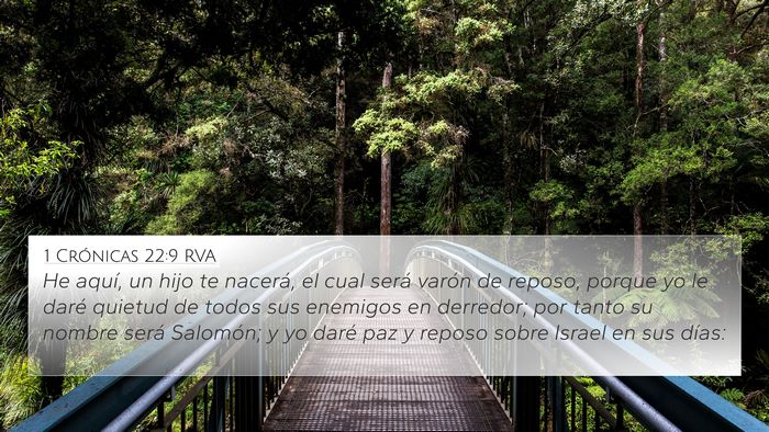 1 Crónicas 22:9 RVA Bible Verse Image
