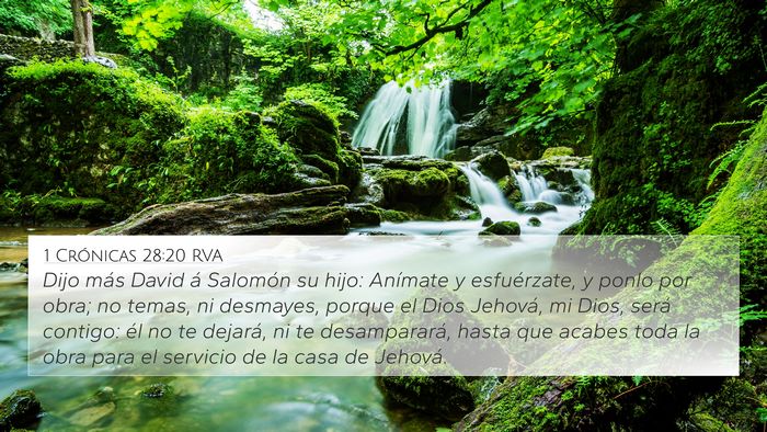 1 Crónicas 28:20 RVA Bible Verse Image