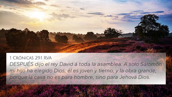 1 Crónicas 29:1 RVA Bible Verse Image