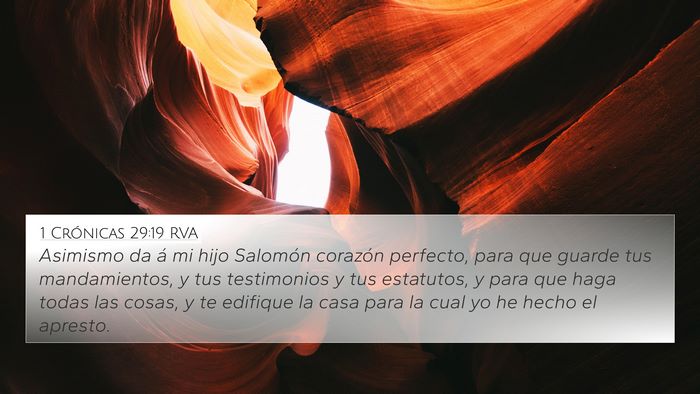 1 Crónicas 29:19 RVA Bible Verse Image