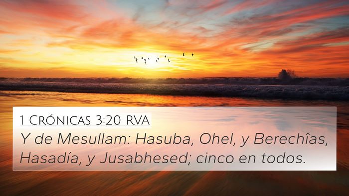 1 Crónicas 3:20 RVA 4K Wallpaper - Y de Mesullam: Hasuba, Ohel, y Berechîas, - 4K Wallpaper Bible Verse
