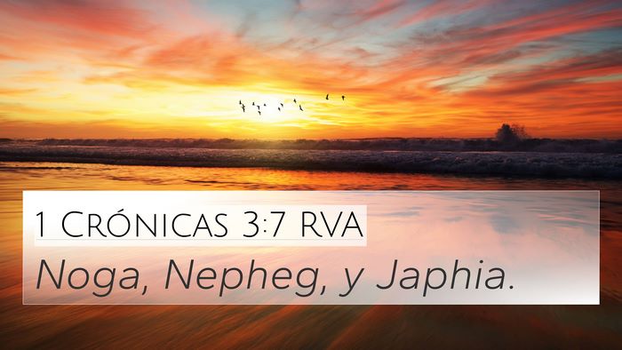 1 Crónicas 3:7 RVA 4K Wallpaper - Noga, Nepheg, y - 4K Wallpaper Bible Verse