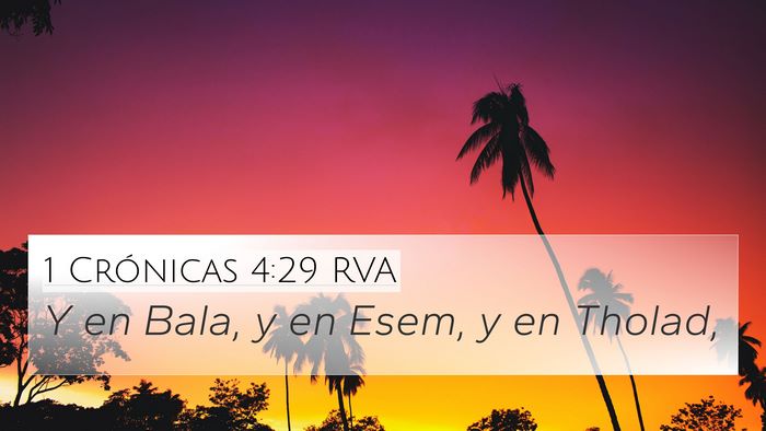 1 Crónicas 4:29 RVA Bible Verse Image