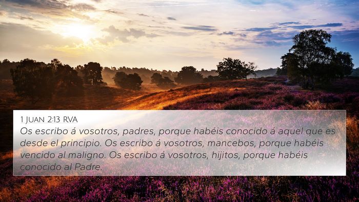 1 Juan 2:13 RVA Bible Verse Image