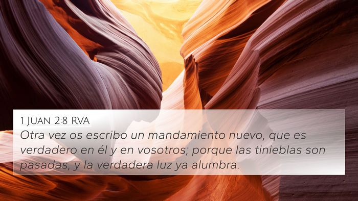 1 Juan 2:8 RVA 4K Wallpaper - Otra vez os escribo un mandamiento nuevo, que es - 4K Wallpaper Bible Verse