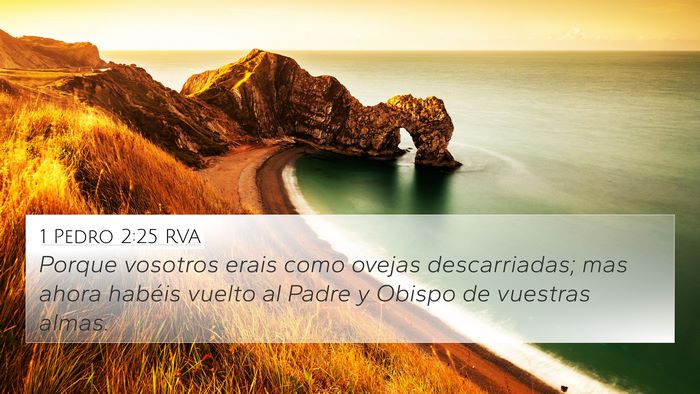 1 Pedro 2:25 RVA Bible Verse Image