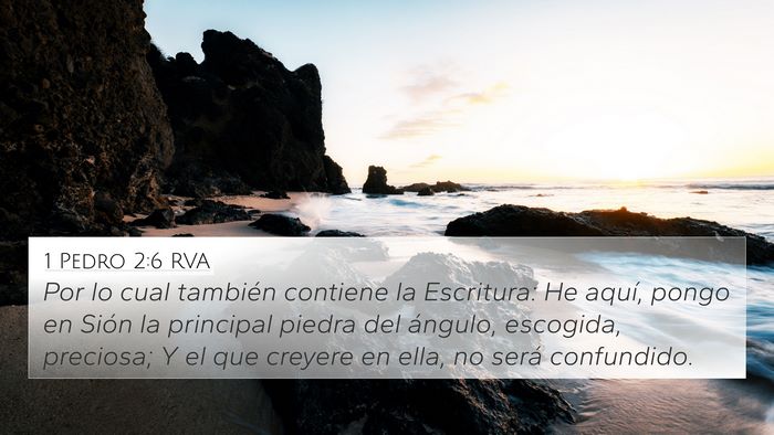 1 Pedro 2:6 RVA Bible Verse Image