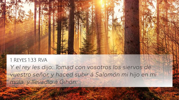 1 Reyes 1:33 RVA Bible Verse Image