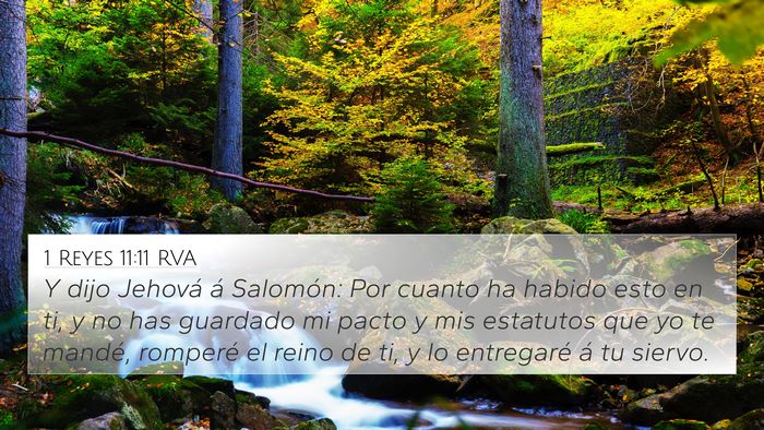1 Reyes 11:11 RVA Bible Verse Image