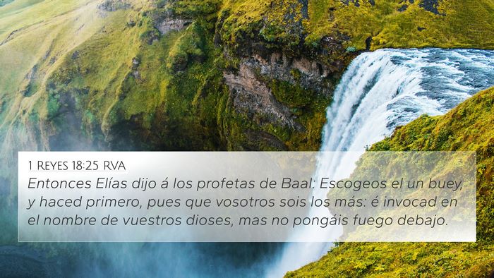 1 Reyes 18:25 RVA Bible Verse Image