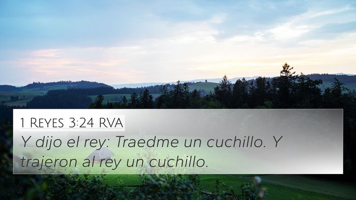 1 Reyes 3:24 RVA 4K Wallpaper - Y dijo el rey: Traedme un cuchillo. Y trajeron al - 4K Wallpaper Bible Verse