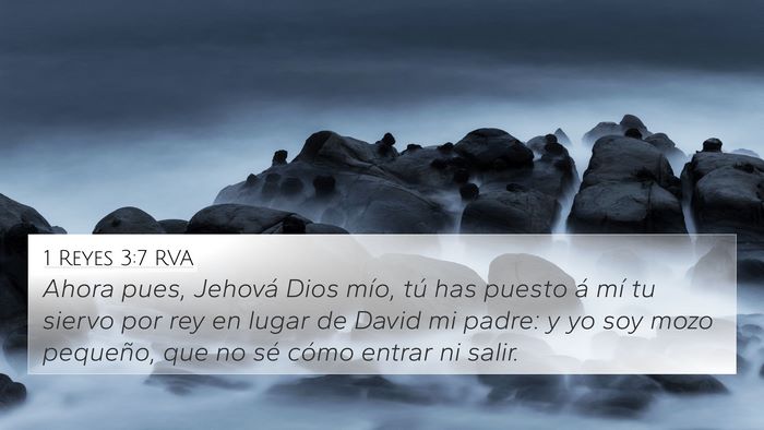 1 Reyes 3:7 RVA Bible Verse Image