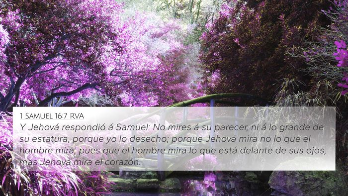 1 Samuel 16:7 RVA Bible Verse Image