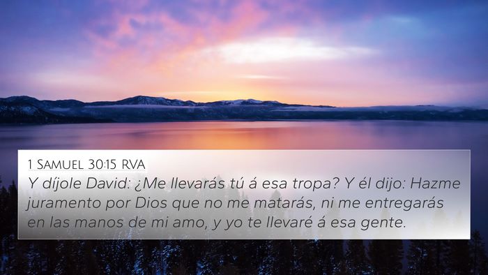 1 Samuel 30:15 RVA Bible Verse Image