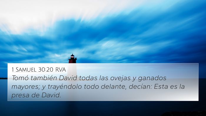 1 Samuel 30:20 RVA 4K Wallpaper - Tomó también David todas las ovejas y ganados - 4K Wallpaper Bible Verse