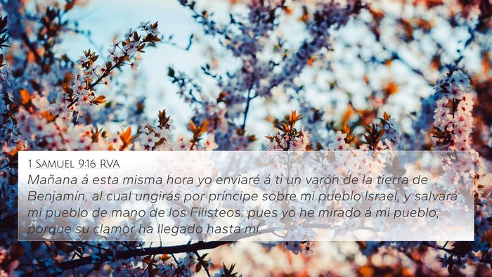1 Samuel 9:16 RVA 4K Wallpaper - Mañana á esta misma hora yo enviaré á ti un - 4K Wallpaper Bible Verse