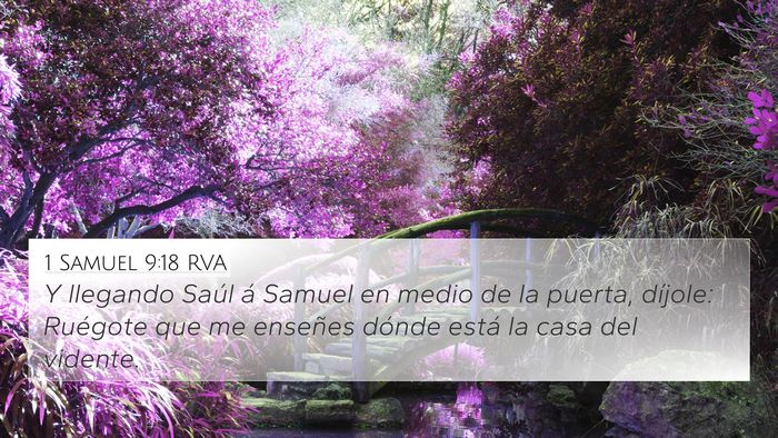 1 Samuel 9:18 RVA 4K Wallpaper - Y llegando Saúl á Samuel en medio de la puerta, - 4K Wallpaper Bible Verse