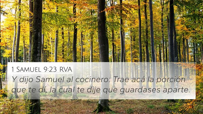 1 Samuel 9:23 RVA 4K Wallpaper - Y dijo Samuel al cocinero: Trae acá la porción - 4K Wallpaper Bible Verse