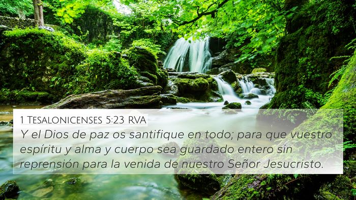 1 Tesalonicenses 5:23 RVA Bible Verse Image