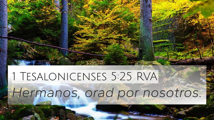 1 Tesalonicenses 5:25 RVA Bible Verse Image