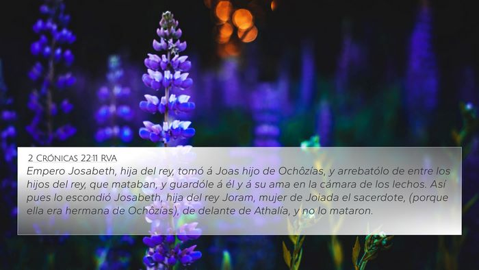 2 Crónicas 22:11 RVA Bible Verse Image