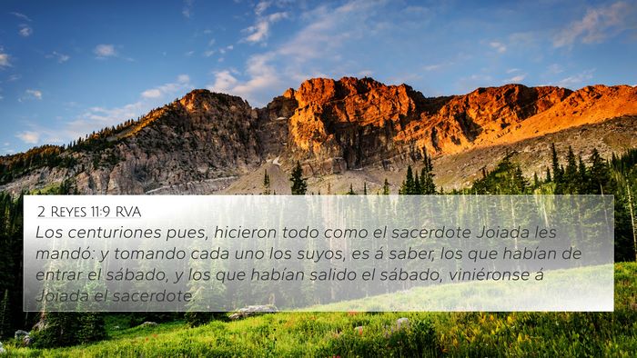 2 Reyes 11:9 RVA Bible Verse Image