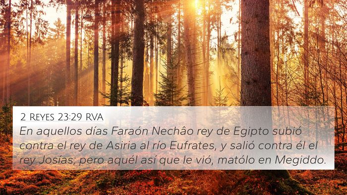 2 Reyes 23:29 RVA Bible Verse Image
