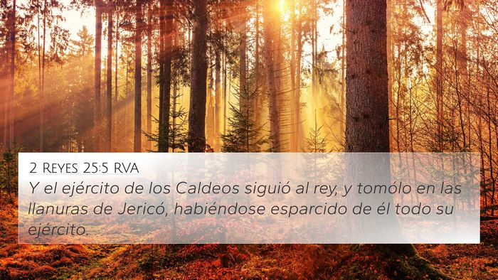 2 Reyes 25:5 RVA Bible Verse Image