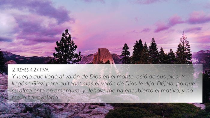 2 Reyes 4:27 RVA Bible Verse Image