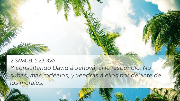 2 Samuel 5:23 RVA Bible Verse Image
