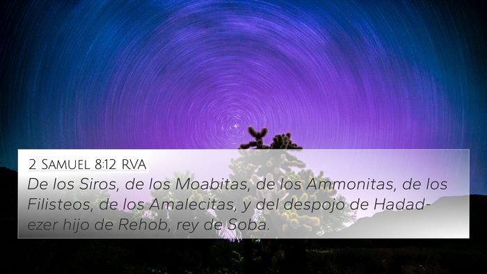 2 Samuel 8:12 RVA Bible Verse Image
