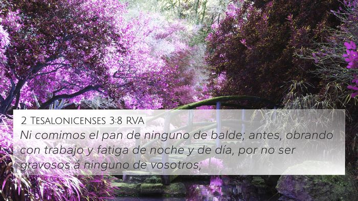 2 Tesalonicenses 3:8 RVA Bible Verse Image