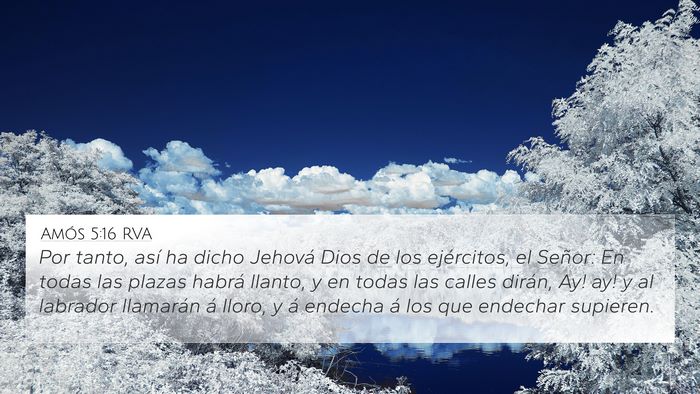 Amós 5:16 RVA Bible Verse Image