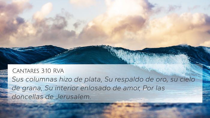 Cantares 3:10 RVA Bible Verse Image