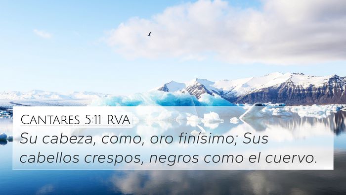 Cantares 5:11 RVA Bible Verse Image