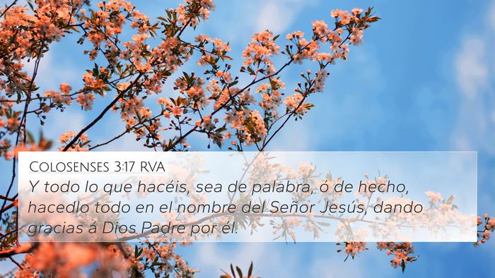 Colosenses 3:17 RVA Bible Verse Image