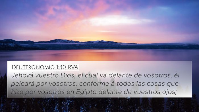Deuteronomio 1:30 RVA Bible Verse Image