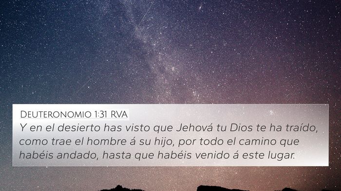 Deuteronomio 1:31 RVA Bible Verse Image