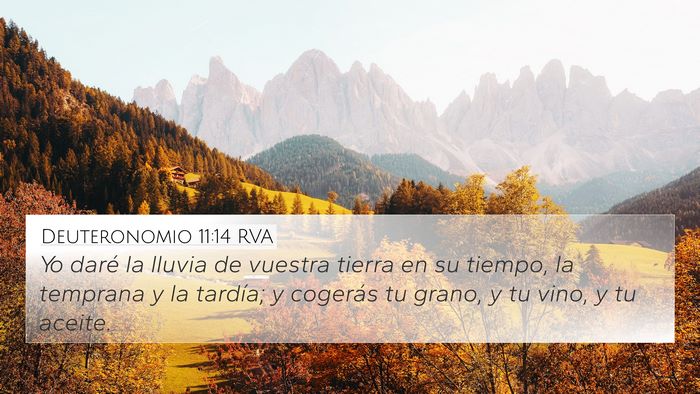 Deuteronomio 11:14 RVA Bible Verse Image