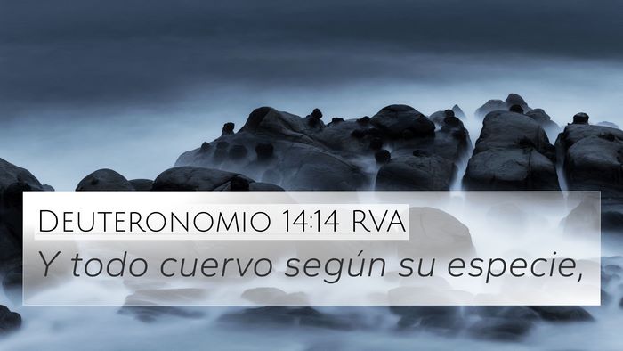 Deuteronomio 14:14 RVA 4K Wallpaper - Y todo cuervo según su - 4K Wallpaper Bible Verse