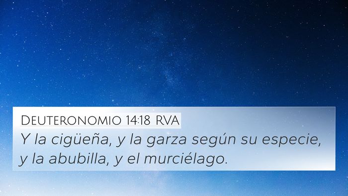 Deuteronomio 14:18 RVA 4K Wallpaper - Y la cigüeña, y la garza según su especie, y - 4K Wallpaper Bible Verse
