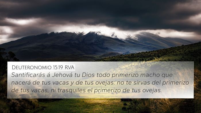 Deuteronomio 15:19 RVA Bible Verse Image