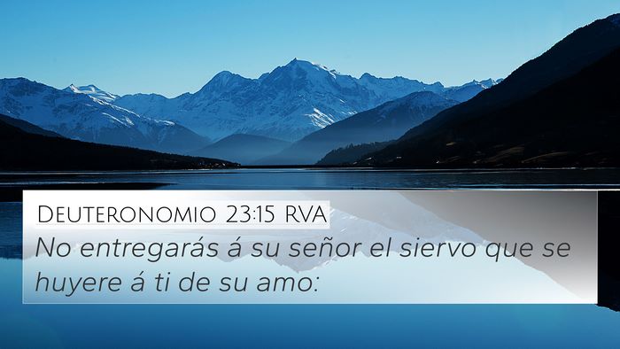 Deuteronomio 23:15 RVA 4K Wallpaper - No entregarás á su señor el siervo que se - 4K Wallpaper Bible Verse