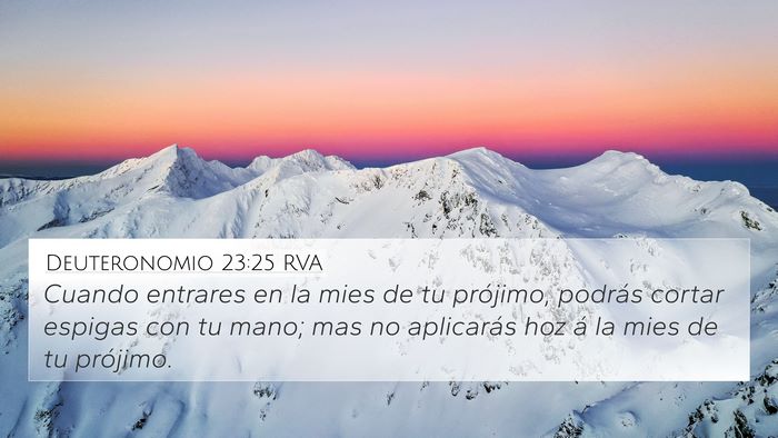 Deuteronomio 23:25 RVA 4K Wallpaper - Cuando entrares en la mies de tu prójimo, - 4K Wallpaper Bible Verse